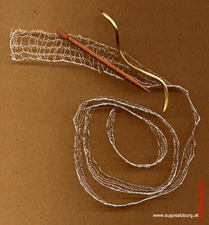 049_silberschalschnecke